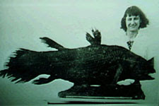Marjorie Courtenay-Latimer and her coelacanth in the East London Museum