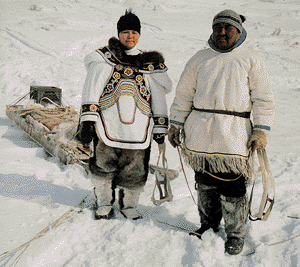 Los narvales forman pate de la alimentación de los habitantes del Ártico