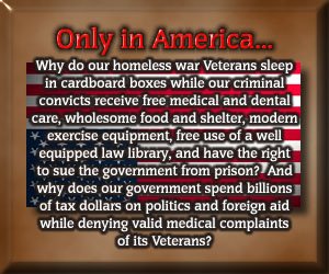 [vets-homeless-only+in+america.bmp]