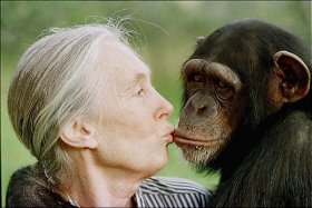 [Jane+Goodall+besa+a+un+chimpancé+femenino+cerca+de+Nanyuki,+a+110+millas+de+norte+de+Nairobi+-+6+de+diciembre+de+1997-.jpg]