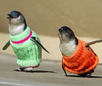 [penguin-sweaters.jpg]
