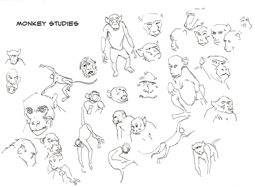 [monkeys.jpg]