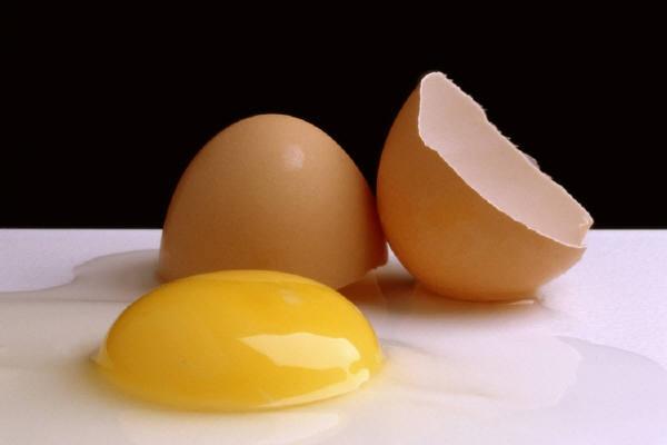 [Egg+and+Shell.jpg]