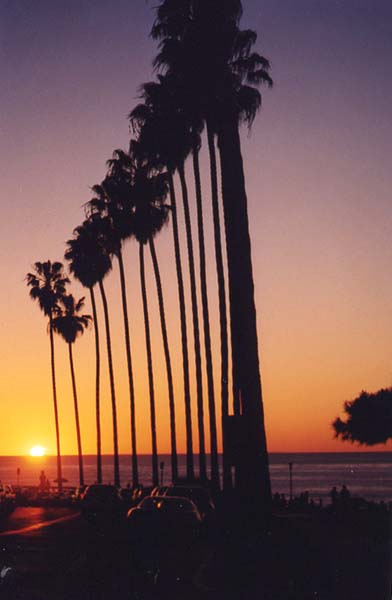 [beach_sunset.jpg]