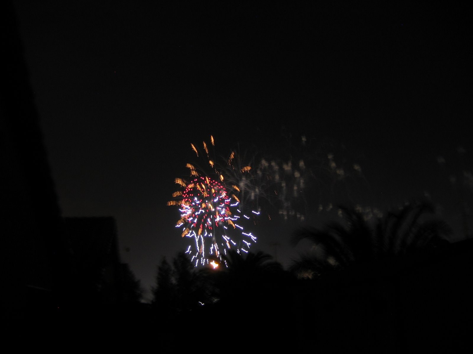[Fireworks.JPG]