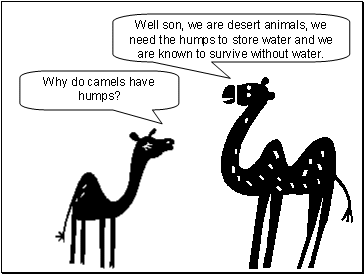 [little_camel_big_question_2.gif]