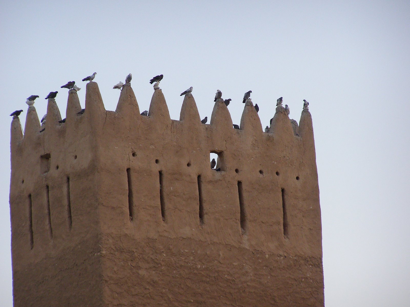 [Barzan+tower+birds2.JPG]