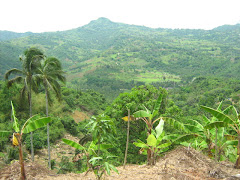 A scene above Biasong, as seen from Lubo.