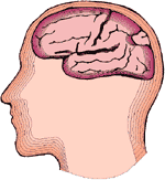[brain]