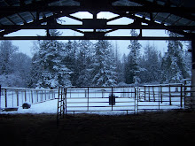The cozy barn