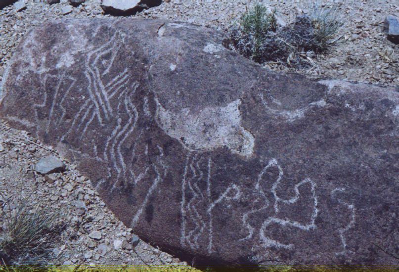 Neuquen -petroglifos