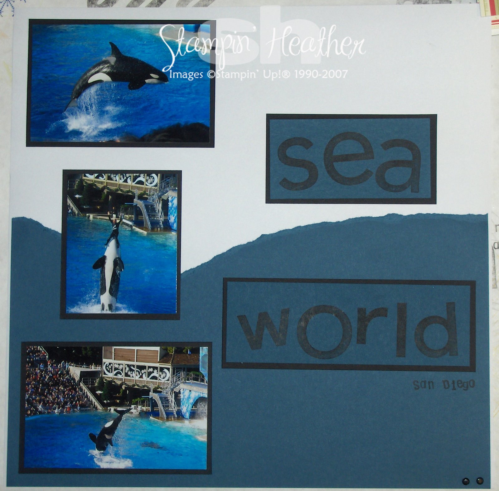 [Sea+World.jpg]