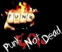 PUNK NOT DEAT