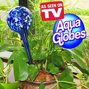 [Aqua+Globe.jpg]