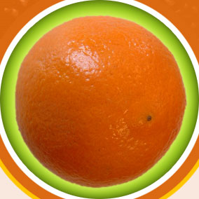 [oranje_home_img_sinaasappel.jpg]