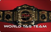 [World+Tag+Team+Belt+Low-res.jpg]