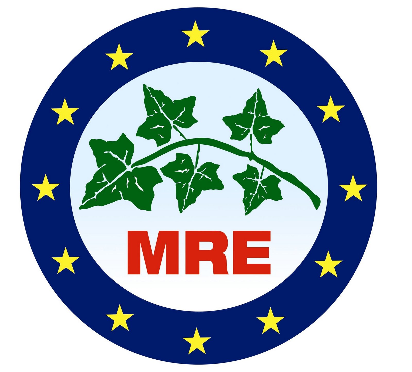 [MRE+logo.jpg]