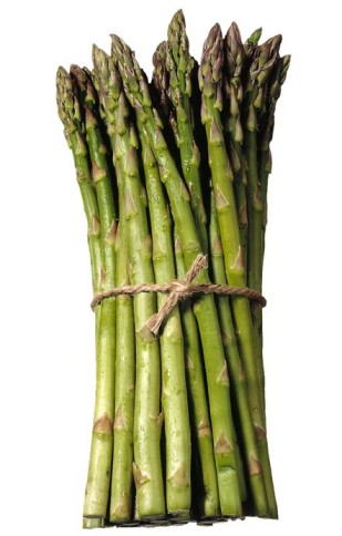 [asparagus_main.jpg]