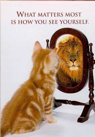 [funny-cat-picture-cute-kitty-pic-kitten-looking-in-mirror-seeing-a-lion.jpg]