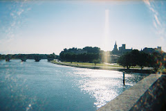 Pont d'Avignon in the Morning