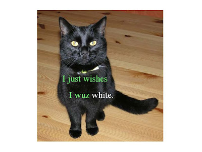 http://bp2.blogger.com/_48pIyTbrm4A/Ruc4lWH0clI/AAAAAAAAADE/Xn7698M88ME/s400/I+just+wishes+i+wuz+white..jpg