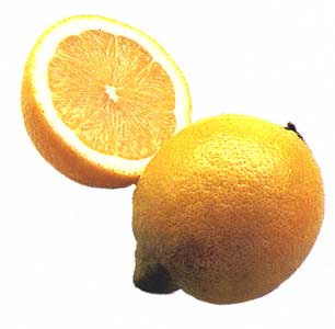 [lemons2.jpg]