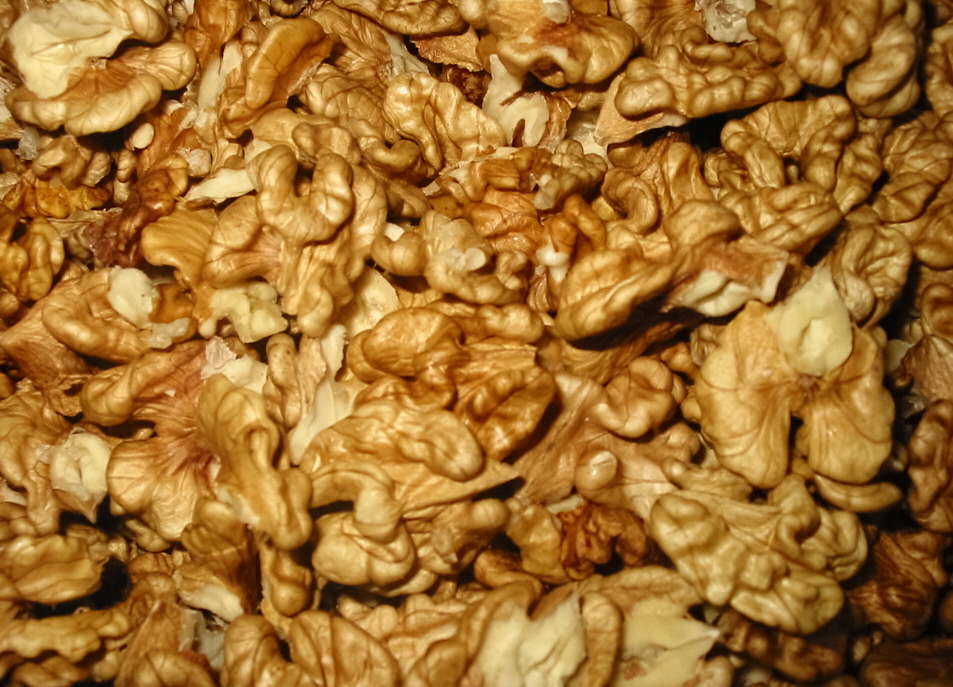 [close+up+walnuts.jpg]