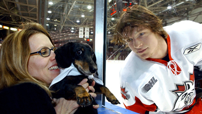 [dachshund+hockey.jpg]