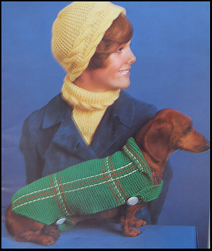 [dachshund+sweater.JPG]