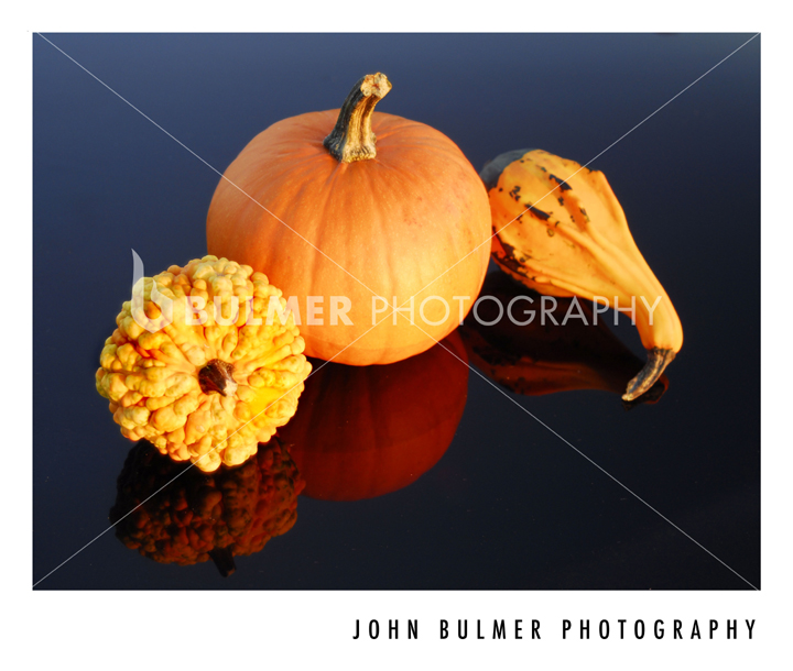 [pumpkins_composite_blogger.jpg]