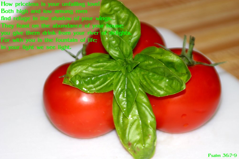 [delights+tomatoes.jpg]