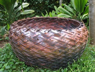 [copper+basket.JPG]
