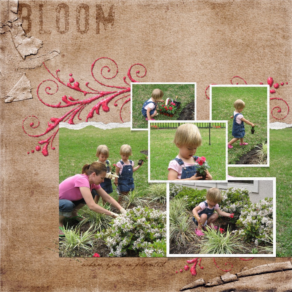 [2007+03+Bloom+Where+You're+Planted+Alena.jpg]