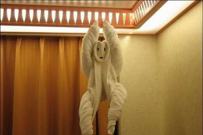 [towel-folding-monkey.jpg]
