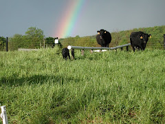 Rainbow over a farm