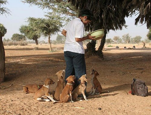 [Marya+and+puppies+in+Sahel.jpg]