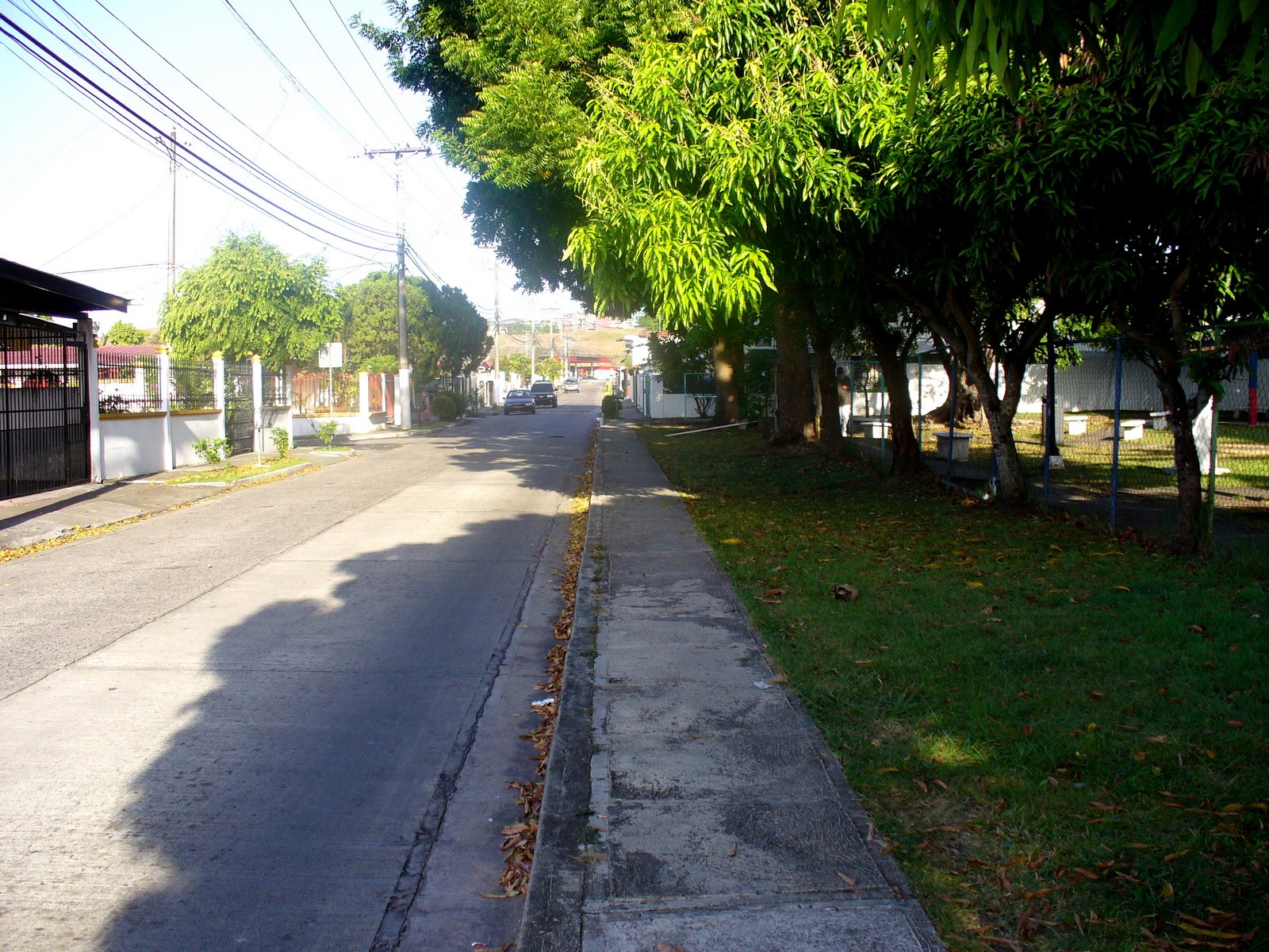 [Our+Street;+Los+Pinos.jpg]