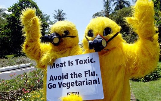 [Indonésia+tem+protesto+contra+gripe+aviária..jpg]