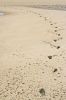 [517782_footprints_.jpg]