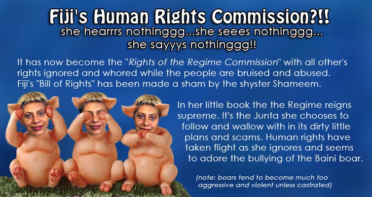 [Human-Rights-Sham-opti.jpg]