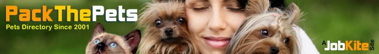 Find Pet Friendly Hotels and Cheap Hotels allowing Pets