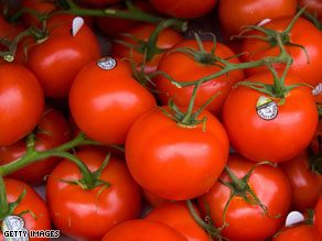 [Tomatoes+on+the+Vine.jpg]