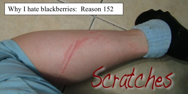 [scratches.jpg]