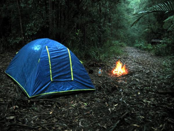 [28738-Rainforest-Camping-0.jpg]