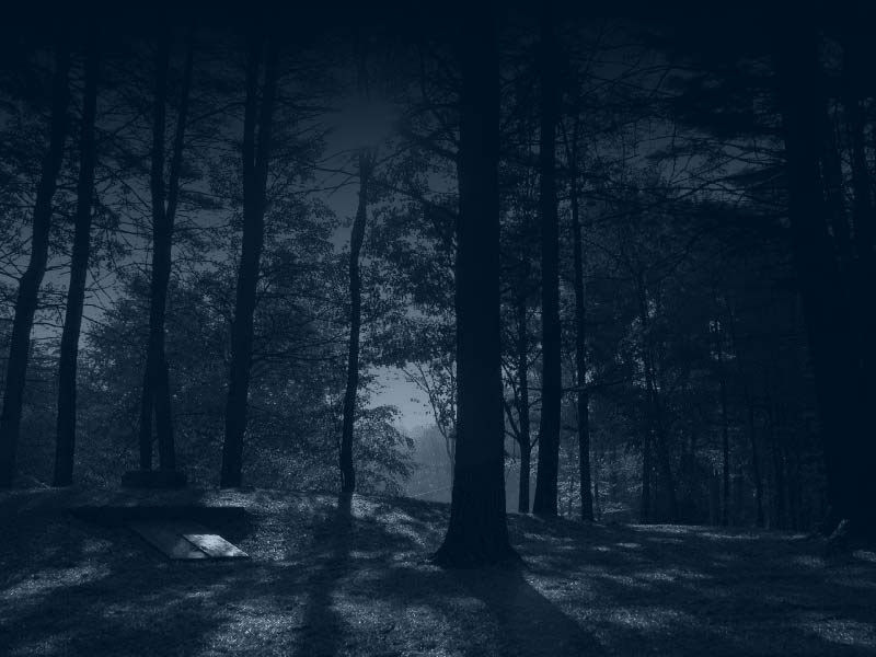 [dark_forest_by_sonnenradbanner.jpg]