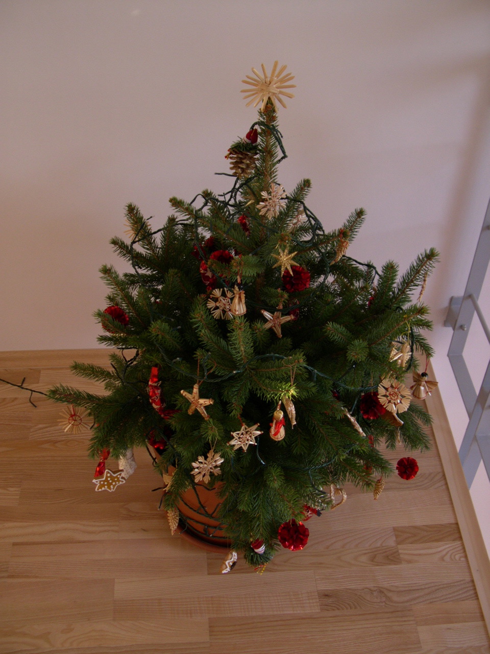 [girls'+christmas+tree.JPG]