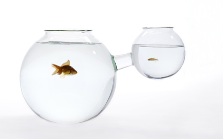 [web-fishbowl-xs-or-xl.jpg]