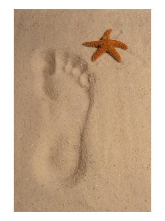 [Footprint-in-the-Sand-with-Starfish-Photographic-Print-C12694565.jpeg]