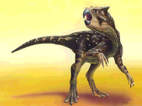 [psittacosaurus.jpg]