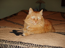 Borrowed Quilt Cat